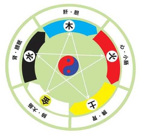 米白色五行|易经中的五行对应颜色